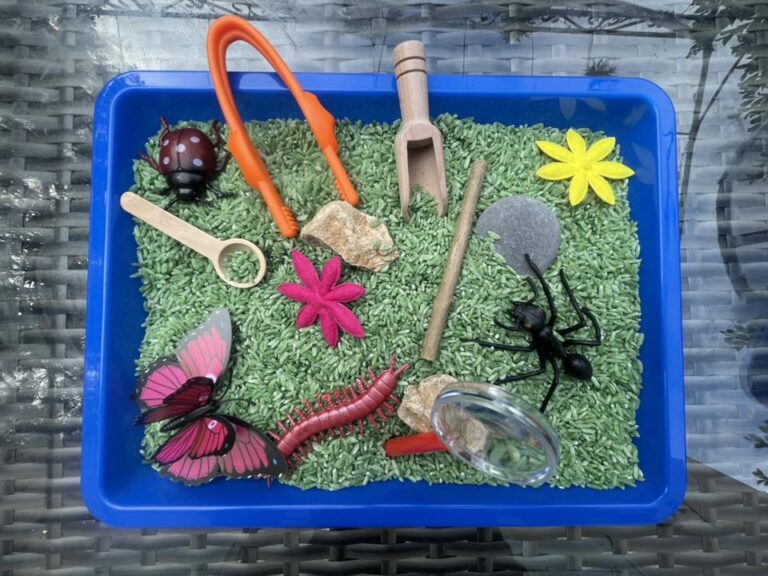 Bac d'exploration insecte