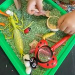 bac d'exploration
